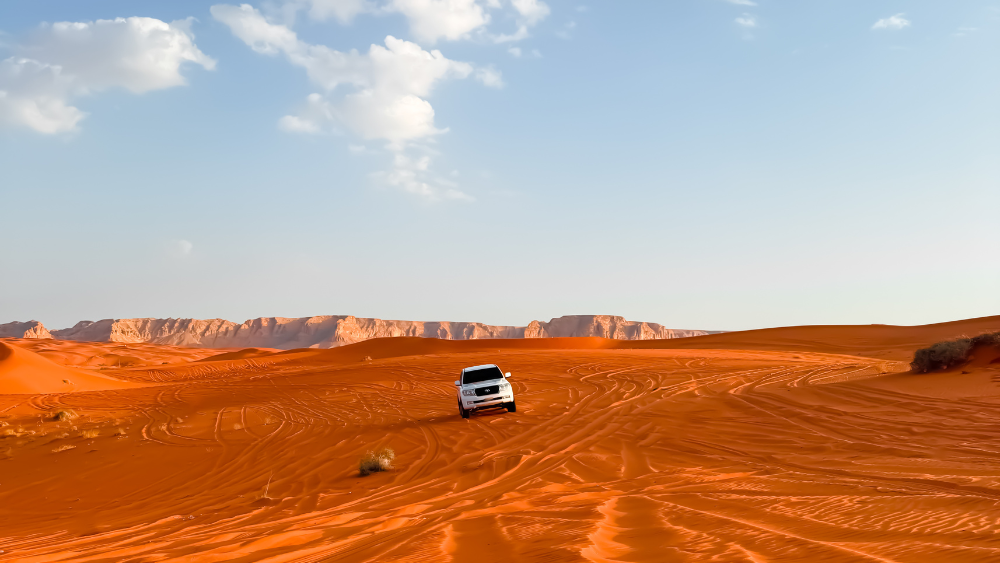 Red Sands Safari with Keshta for 1-6