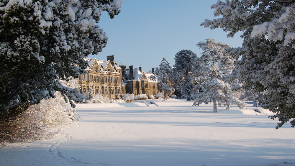 Ashdown Park Christmas Market - 06/12/2026