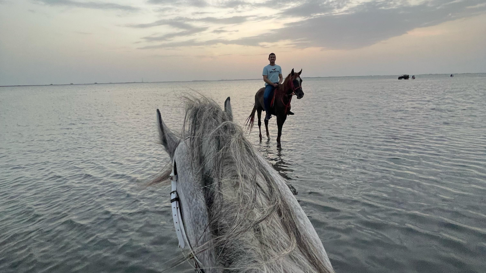Horse Riding in Jeddah