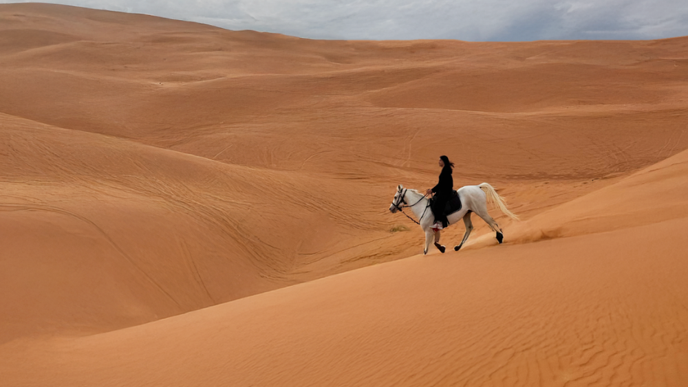 Horse Riding in Riyadh