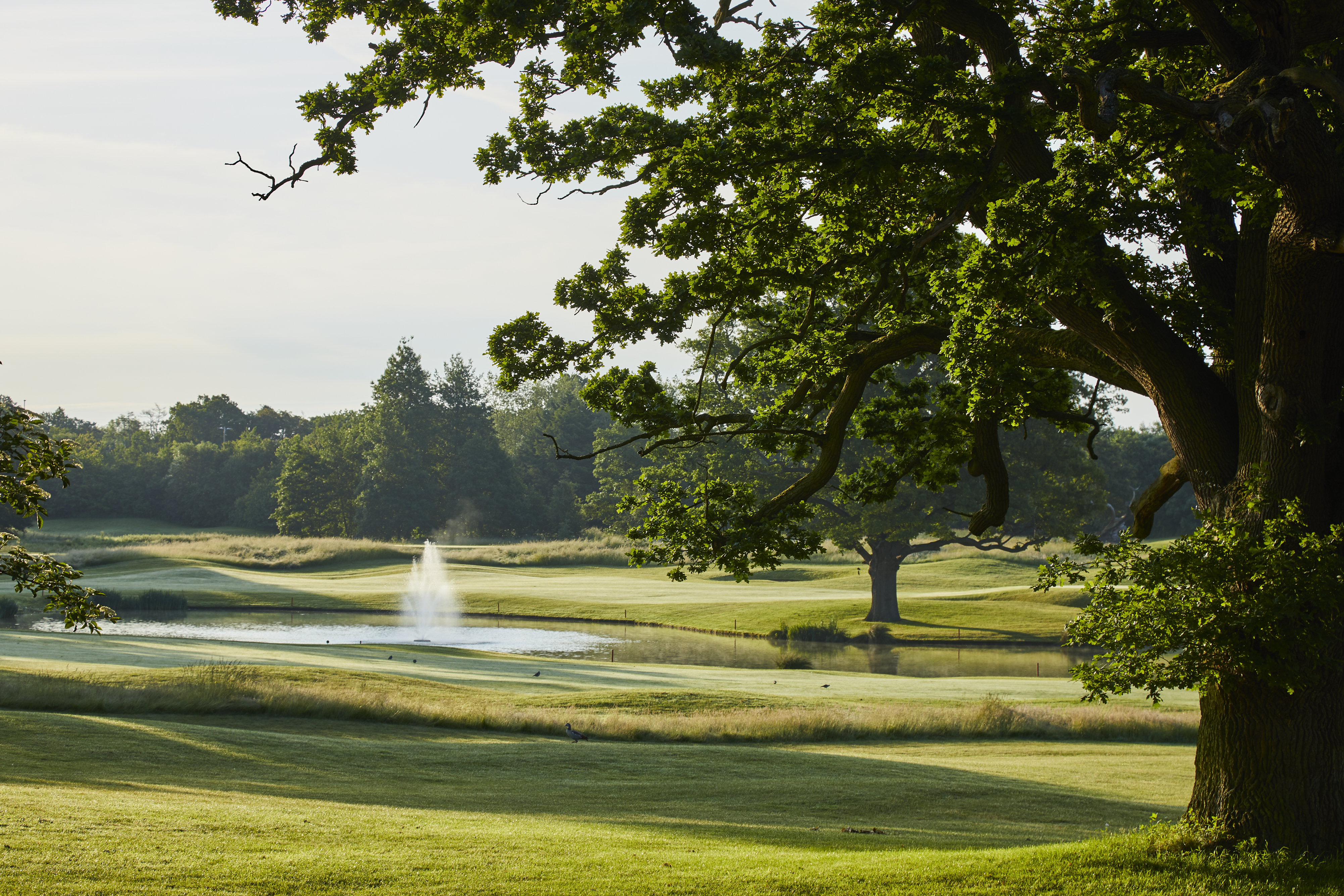Four-Week Country Club Membership