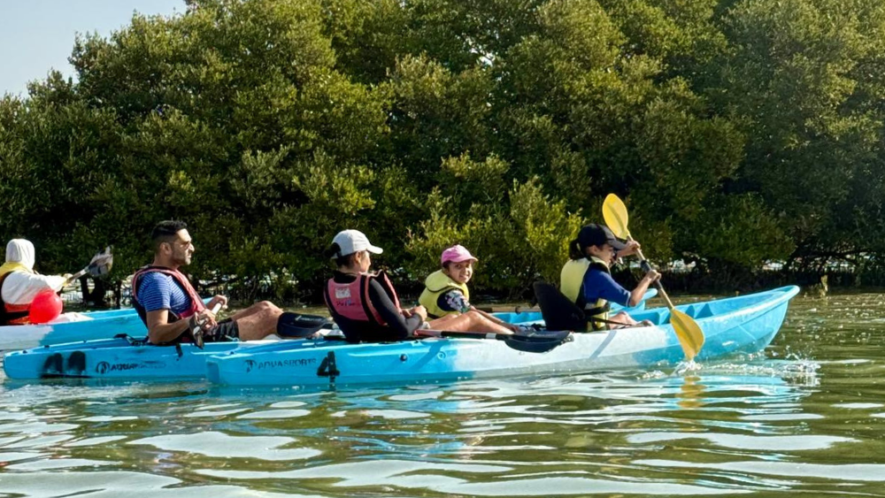 Kayaking at the Al Mafjar Mangroves