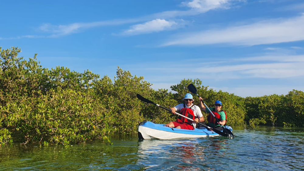 Kayaking at the Al Mafjar Mangroves