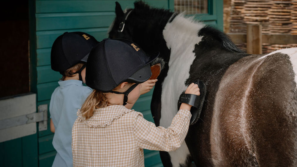 Own a Pony