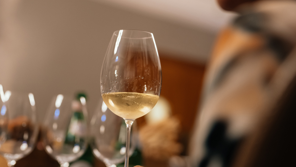 Wine Tasting Experience