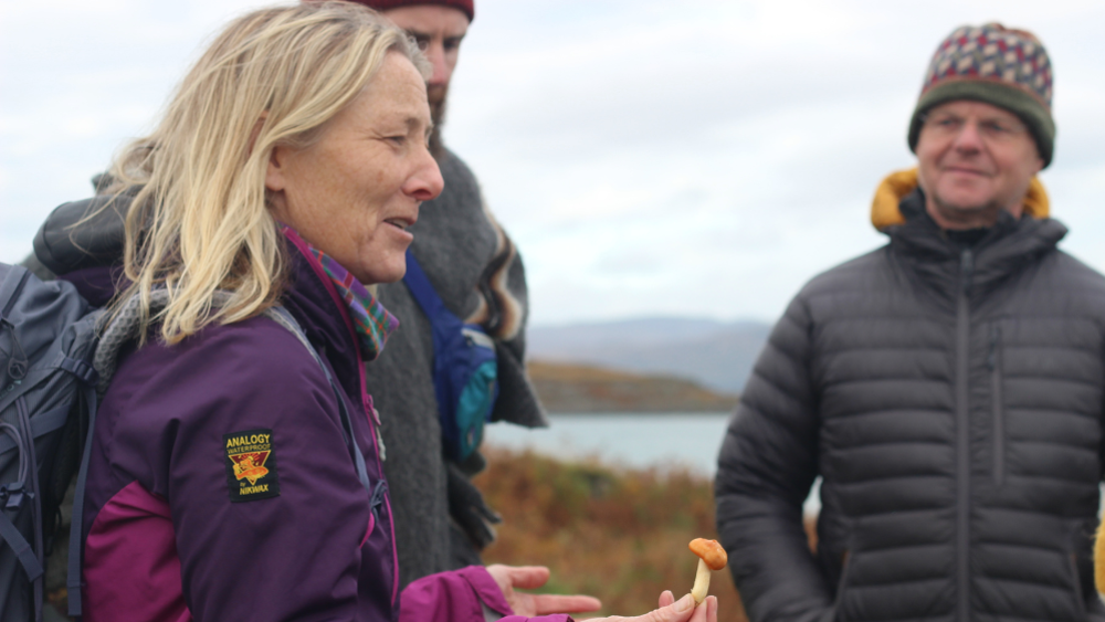 Bespoke Foraging and Wild Food Experience - For Four