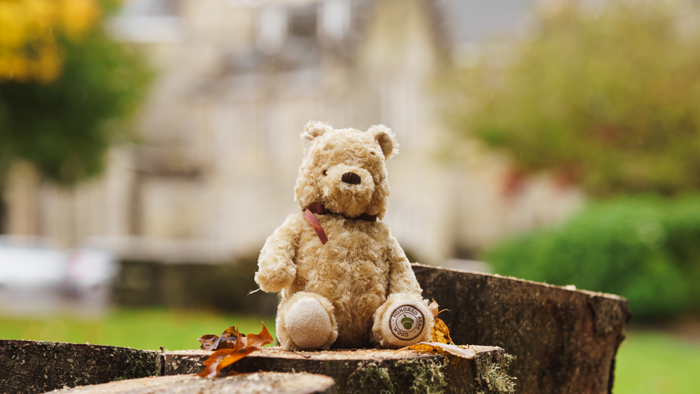 An Evening with Gyles Brandreth: Celebrating 100 Years of Winnie-the-Pooh - 17/10/2026