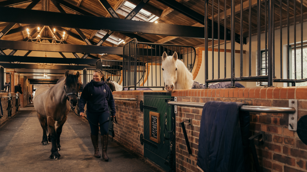 Junior Pony Experience