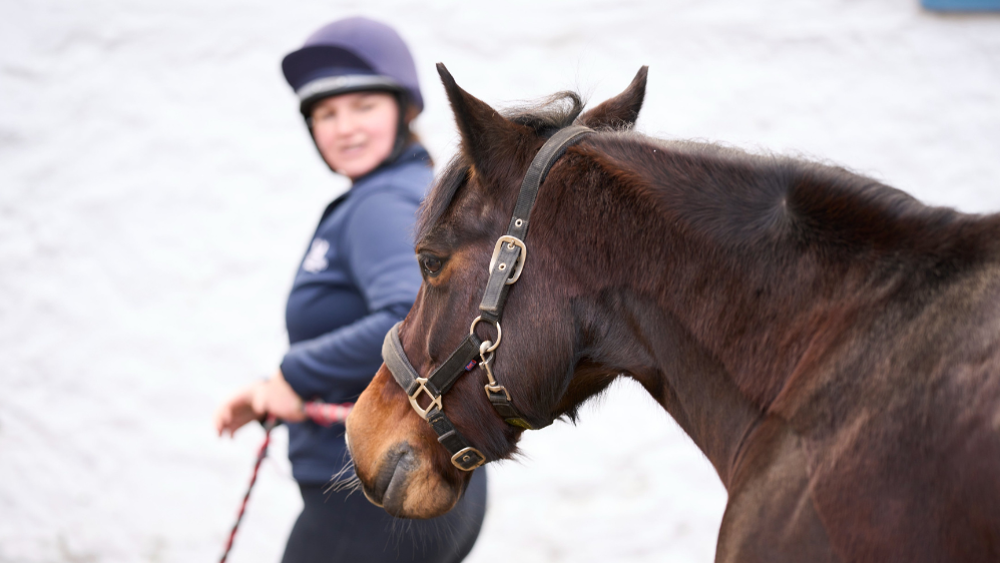 Half hour lead rein session