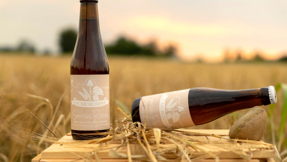 La Morosina | Blonde Beer