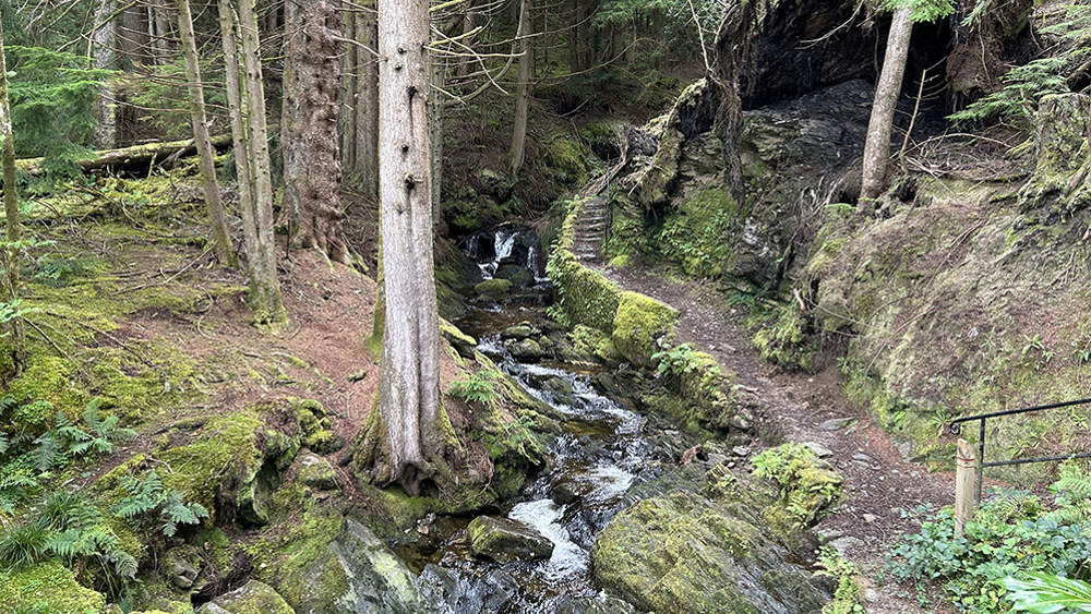 Puck's Glen E-Bike Tour for 2