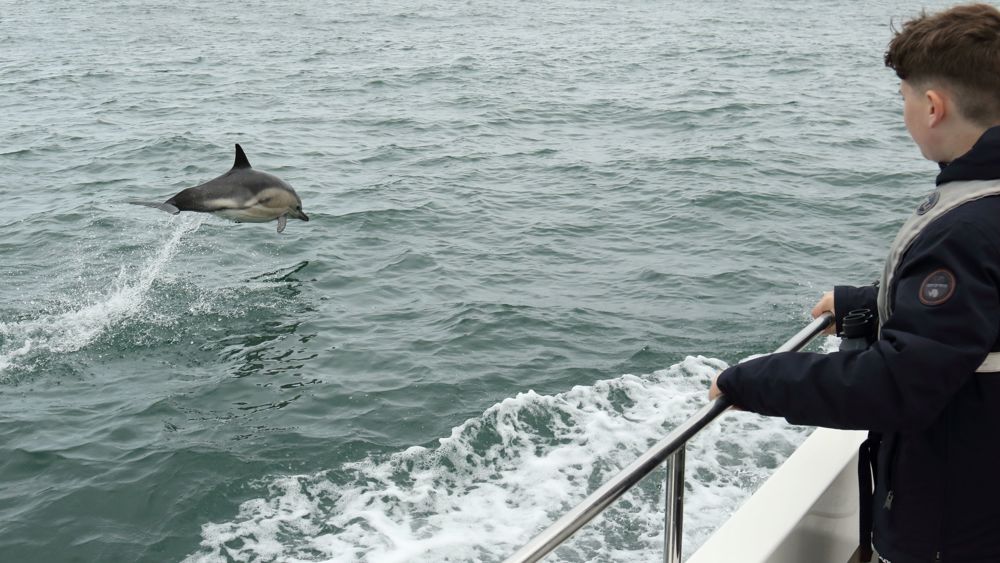 Corryvreckan Wildlife & Whales Tour