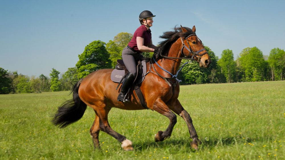 Afternoon Tea & Canter for Two