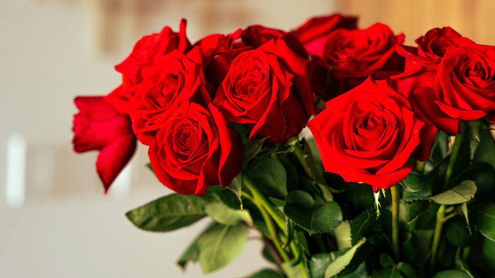 Romance Collection | 16 Roses