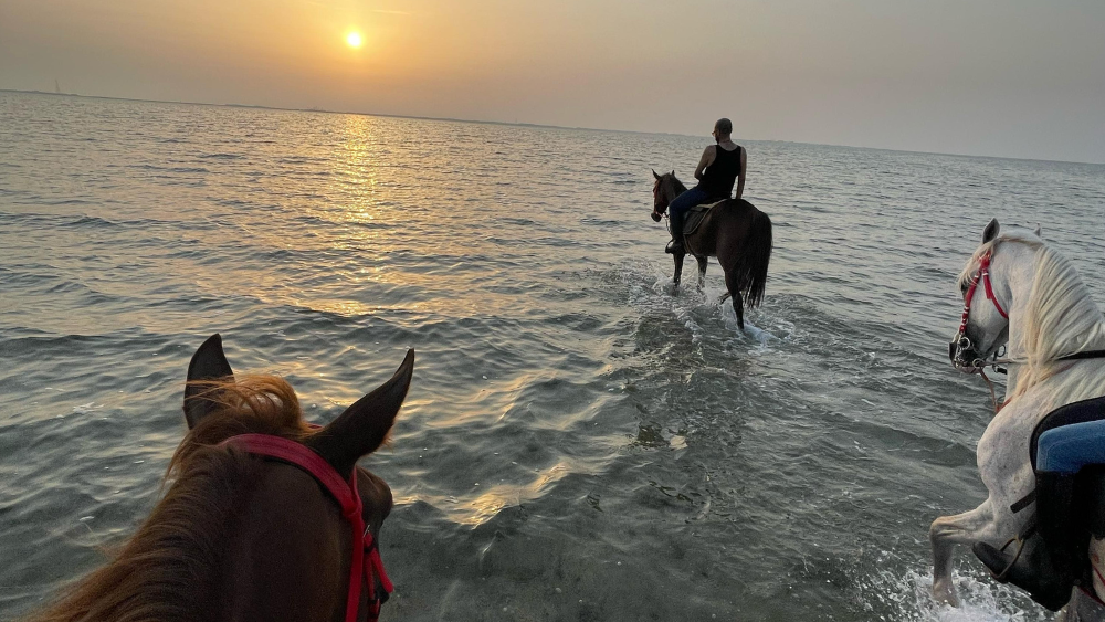 Horse Riding in Jeddah