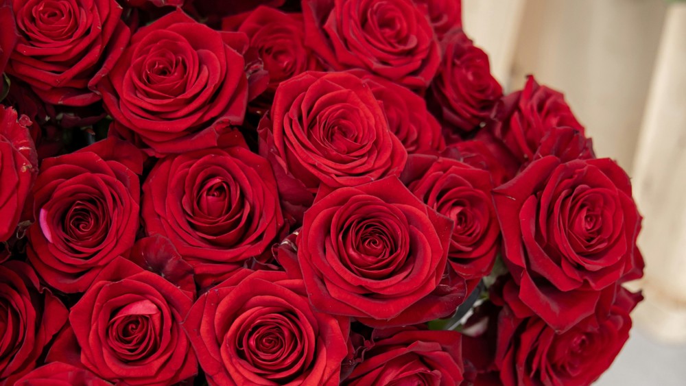 Premium Romance | 30 Roses 