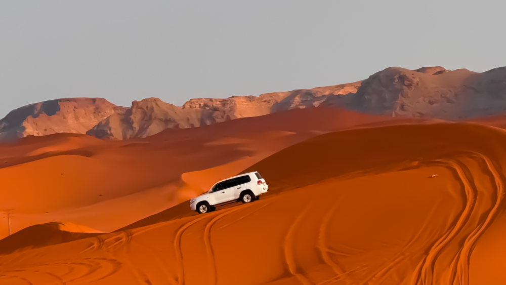 Red Sands Safari with Keshta for 1-6