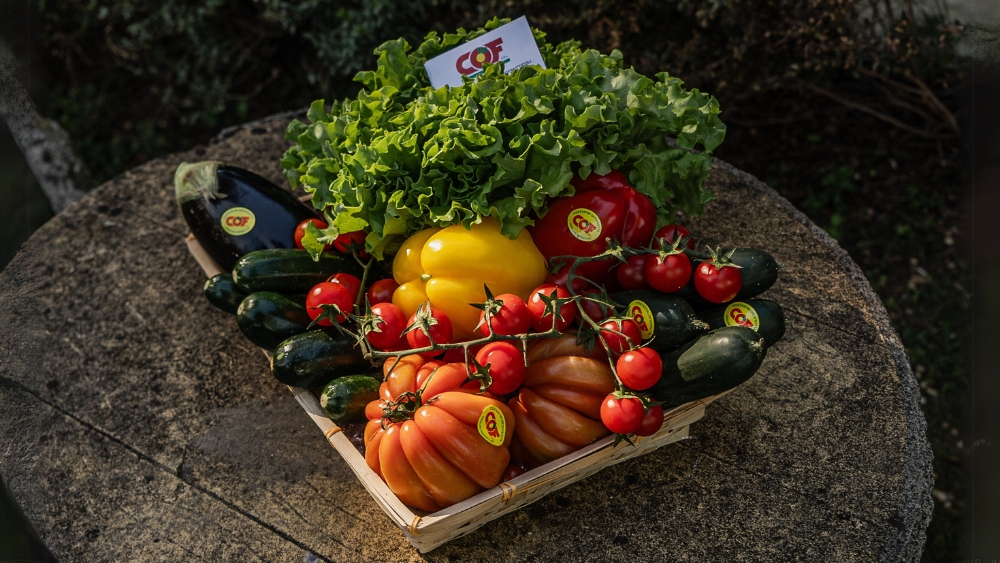 The Coastal Harvest