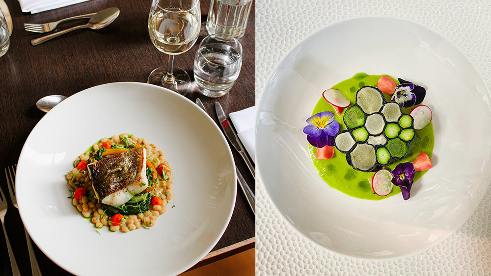 Dining Experience in Zodiac