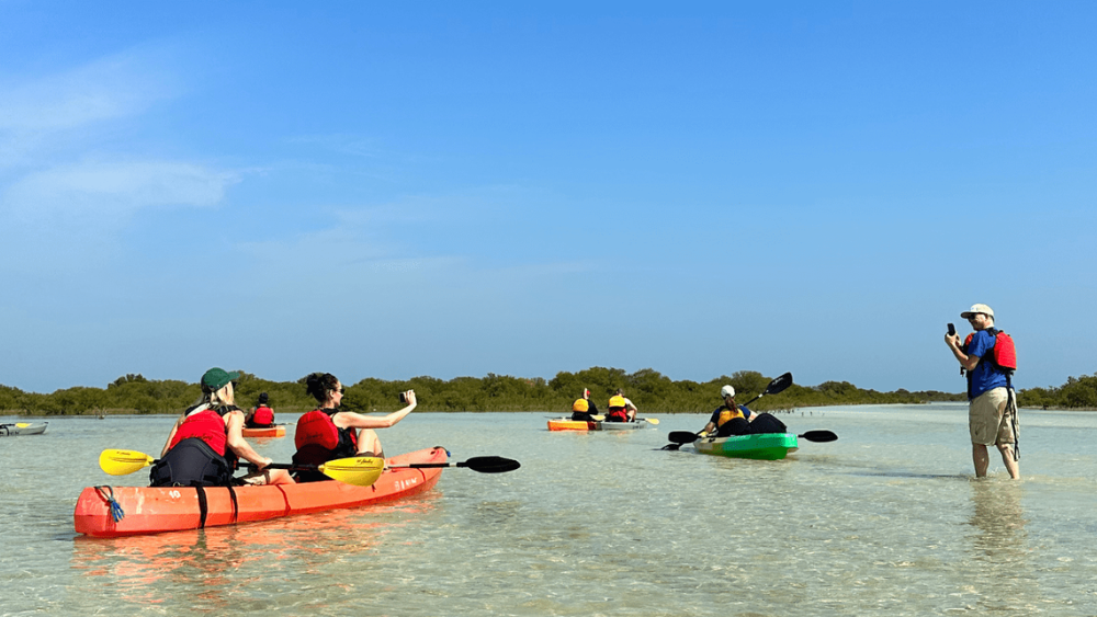 Kayaking at the Al Mafjar Mangroves