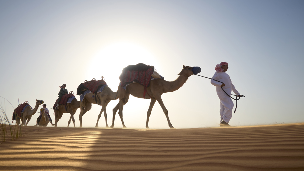 Al Maha Bedouin Package