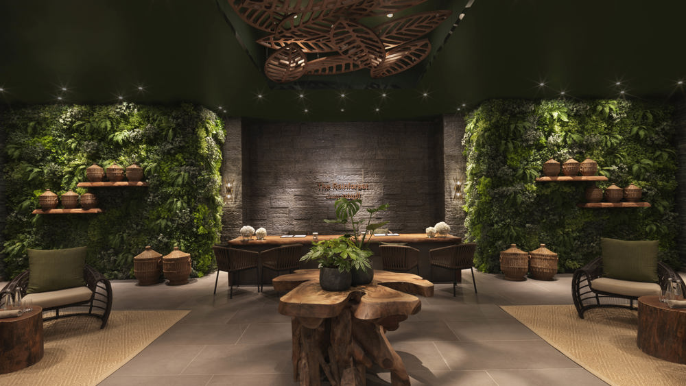 Private Rainforest Experience