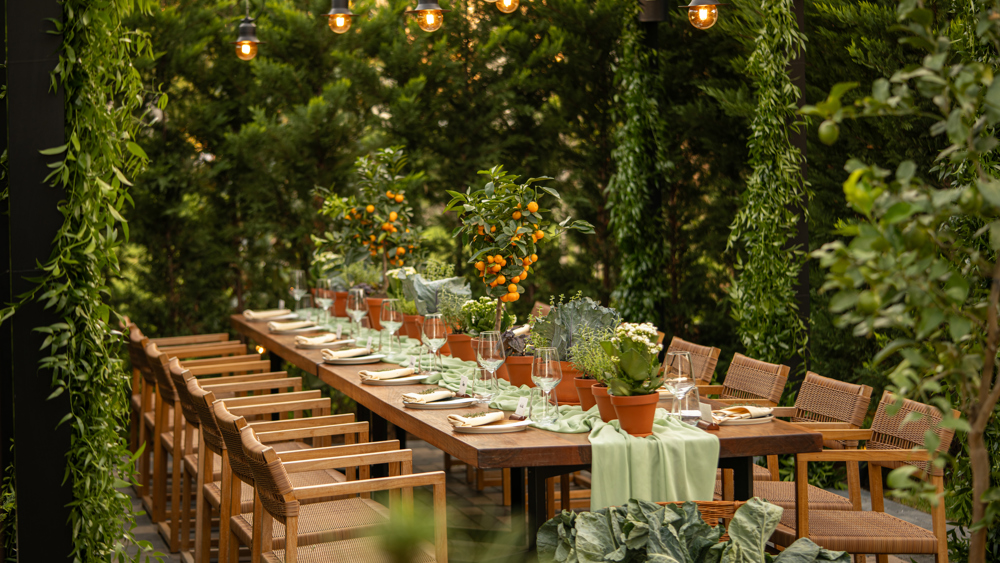 Voucher at Olea - 500 RON