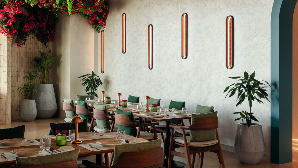 100 USD Zorba Gift Voucher