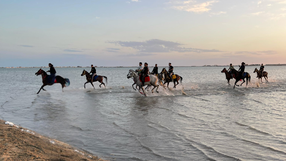 Horse Riding in Jeddah
