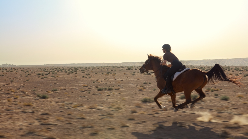 Horse Riding Lesson