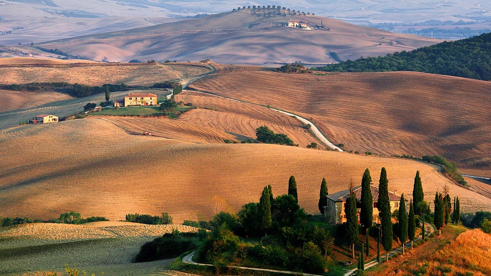 Tuscan Horseback Riding and Wine Tasting 