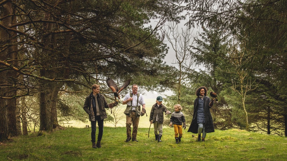 Family Falconry Lesson