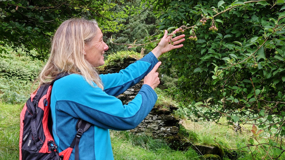 Bespoke Foraging and Wild Food Experience - For Three