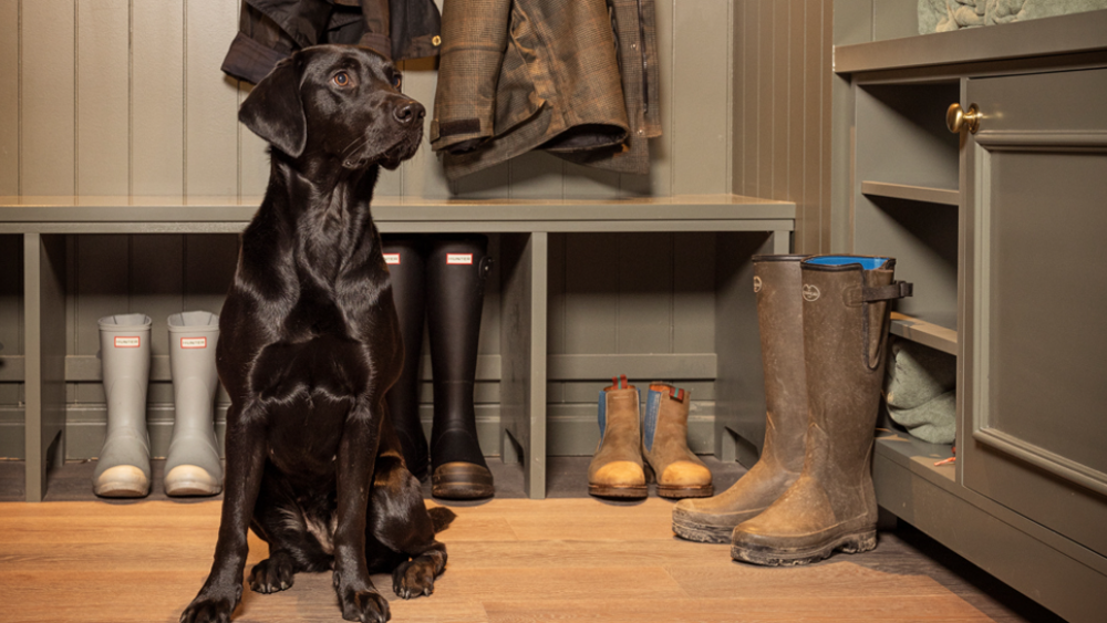 Luxury Overnight Stay For Two With Breakfast in a Coach House Suite