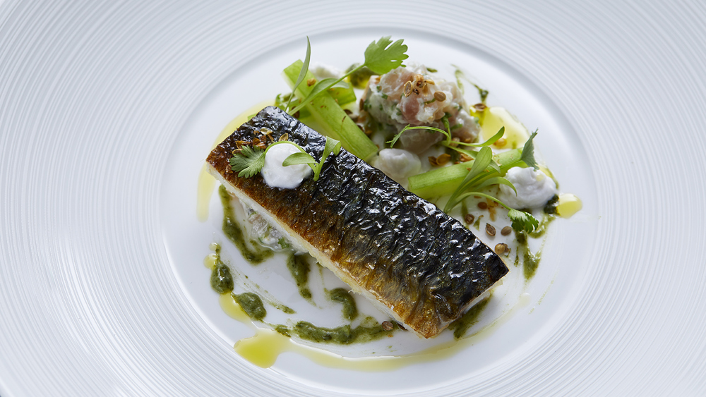 Tasting Menu for Two in Indigo