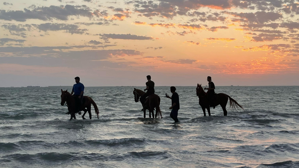 Horse Riding in Jeddah