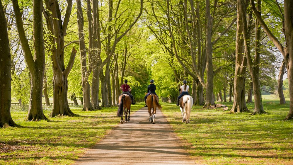 Saddle, Spa and Lunch Day for Two