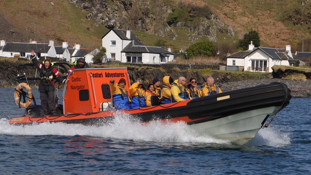 Corryvreckan Wildlife Tour